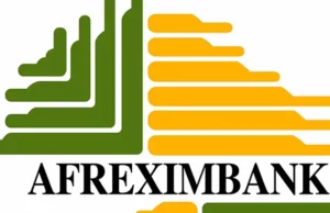 EVs: Afreximbank Wants Nigeria, Other African Countries To Stop Exporting Lithium EVs: Afreximbank Wants Nigeria, Other African Countries To Stop Exporting Lithium