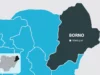 Borno School Attack: 37 Children Still Missing — Parents Borno School Attack: 37 Children Still Missing — Parents