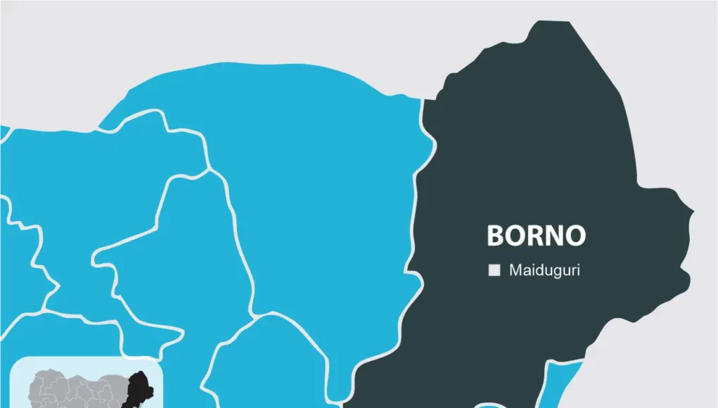 Borno School Attack: 37 Children Still Missing — Parents