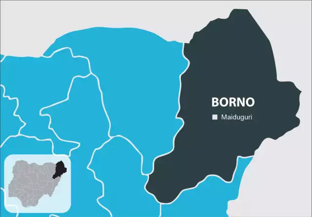 Borno School Attack: 37 Children Still Missing — Parents Borno School Attack: 37 Children Still Missing — Parents