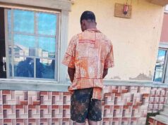 Abia Police Arrest Suspect For Alleged Vandalism, Theft Of Government Property In Umuahia Abia Police Arrest Suspect for Alleged Vandalism, Theft of Government Property in Umuahia