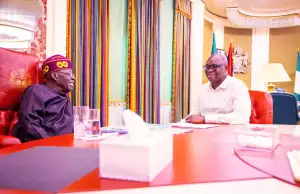 Fayose’s Brother Slams Ex-governor’s Appointment As REA Chairman Fayose’s Brother Slams Ex-governor's Appointment As REA Chairman