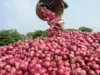 Nigerian Onion Traders Seek Ghana’s Intervention Over Detention Of Trucks Nigerian Onion Traders Seek Ghana’s Intervention Over Detention Of Trucks