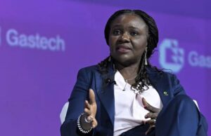 FG Reveals 13 Oil Blocks Returns To Licensing Basket FG Reveals 13 Oil Blocks Returns To Licensing Basket