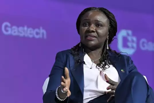 FG Reveals 13 Oil Blocks Returns To Licensing Basket FG Reveals 13 Oil Blocks Returns To Licensing Basket