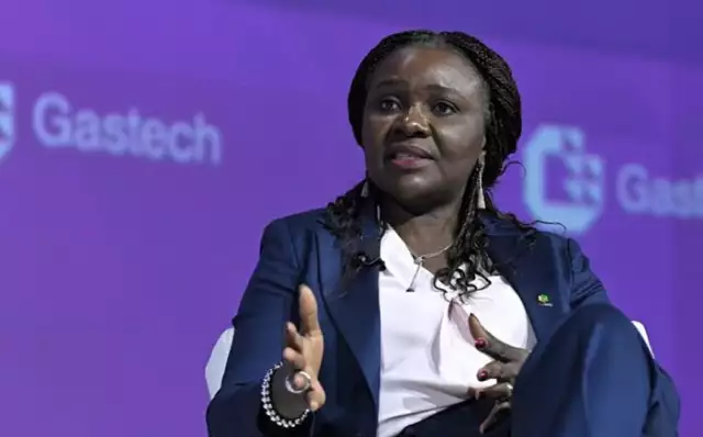 FG Reveals 13 Oil Blocks Returns To Licensing Basket FG Reveals 13 Oil Blocks Returns To Licensing Basket