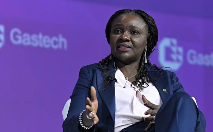 Oritsemeyiwa Eyesan FG Reveals 13 Oil Blocks Returns To Licensing Basket