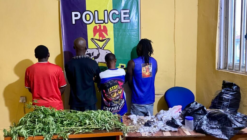 WhatsApp Image 2026-07-18 at 22.44.50 Abia Police Arrest Four Suspected Drug Peddlers, Recover Illicit Substances
