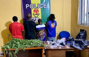 Abia Police Arrest Four Suspected Drug Peddlers, Recover Illicit Substances Abia Police Arrest Four Suspected Drug Peddlers, Recover Illicit Substances