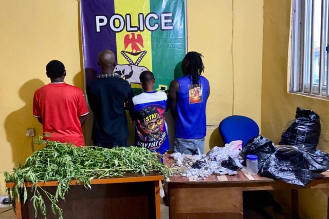 Abia Police Arrest Four Suspected Drug Peddlers, Recover Illicit Substances Abia Police Arrest Four Suspected Drug Peddlers, Recover Illicit Substances