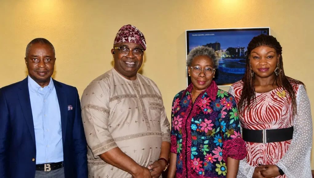 Mentoring Key To Stem Nigeria’s Brain Drain — Ogunsola