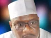 I Never Acted As An Intermediary Between Kidnappers And anyone — Ndume I Never Acted As An Intermediary Between Kidnappers And Anyone — Ndume