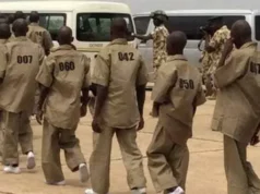 Insecurity: Halt Rehabilitations, Try B-Haram Members, Senate Tells FG Insecurity: Halt Rehabilitations, Try B-Haram Members, Senate Tells FG