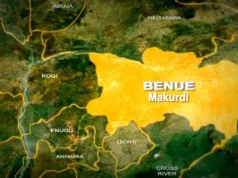 Newborn Found In Carton, Rescued From Benue Forest Newborn Found In Carton, Rescued From Benue Forest