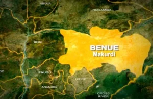 Newborn Found In Carton, Rescued From Benue Forest Newborn Found In Carton, Rescued From Benue Forest