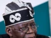 Reps Raise Concerns Over Tinubu, Wike, Akume Names Listed As PFIPC Board Members Reps Raise Concerns Over Tinubu, Wike, Akume Names Listed As PFIPC Board Members