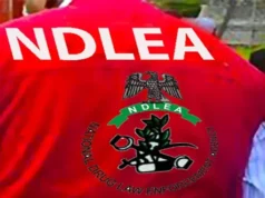 NDLEA Intercepts Cocaine Concealed In Mortar, Backpack Bound For China, Italy NDLEA Intercepts Cocaine Concealed In Mortar, Backpack Bound For China, Italy