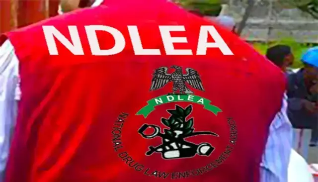 NDLEA Intercepts Cocaine Concealed In Mortar, Backpack Bound For China, Italy NDLEA Intercepts Cocaine Concealed In Mortar, Backpack Bound For China, Italy