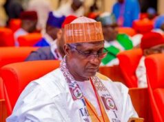 Northern Senators Calls For Permanent Measures To Address Flooding In Niger Northern Senators Calls For Permanent Measures To Address Flooding In Niger