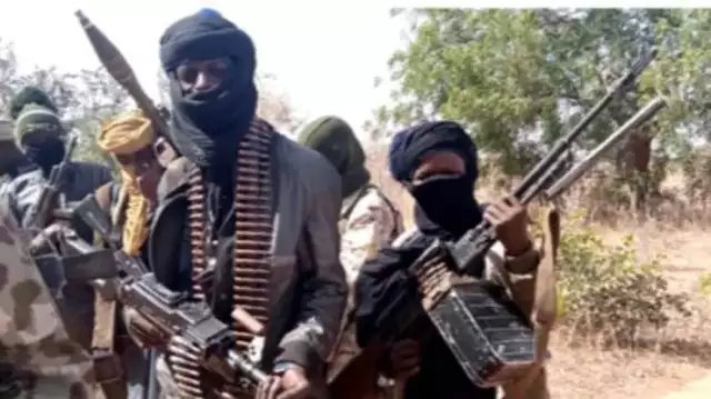 Bandits Demand N500,000 From Benue Farmer Before Harvesting Crops Bandits Demand N500,000 From Benue Farmer Before Harvesting Crops