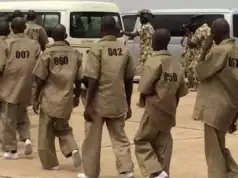 Rate Of Surrenders By Terrorists Rise 213% In One Week— Military Rate Of Surrenders By Terrorists Rise 213% In One Week— Military