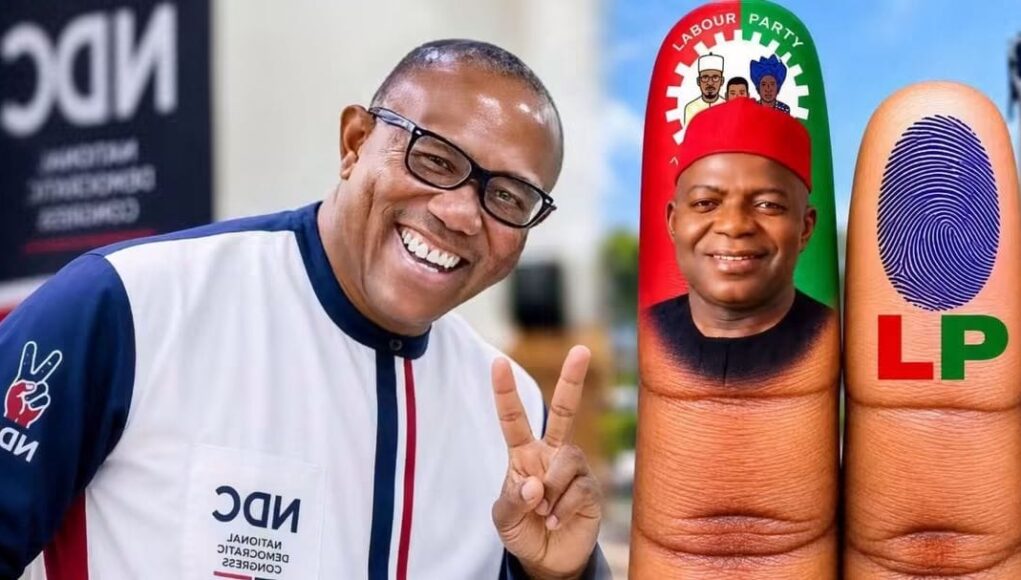 NDC Denies Alliance With Otti, Accuses Labour Party Of Using Its Logo