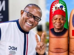 NDC Denies Alliance With Otti, Accuses Labour Party Of Using Its Logo NDC Denies Alliance With Otti, Accuses Labour Party Of Using Its Logo