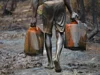 33 Months Unpaid Rent Threatens War Against Oil Bunkering 33 Months Unpaid Rent Threatens War Against Oil Bunkering