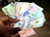 Forex Inflow Rises 36.5% To $33.76bn In Five Months Forex Inflow Rises 36.5% To $33.76bn In Five Months