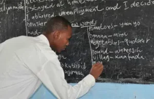 Why Nigeria, Ghana-Trained Teachers Were Removed From UK Qualification List Why Nigeria, Ghana-Trained Teachers Were Removed From UK Qualification List