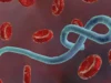Ebola: Kano Govt Activates Emergency Operatiions Centre Ebola: Kano Govt Activates Emergency Operatiions Centre