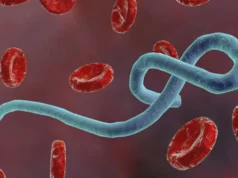Ebola: Kano Govt Activates Emergency Operatiions Centre Ebola: Kano Govt Activates Emergency Operatiions Centre