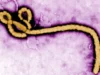 WHO Begins Ebola Vaccine Trial In DR Congo WHO Begins Ebola Vaccine Trial In DR Congo