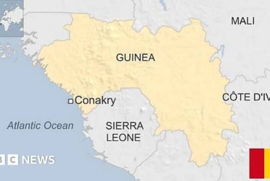 Guinea Govt. Grants Opposition Figure Aliou Bah Presidential Pardon Guinea Govt. Grants Opposition Figure Aliou Bah Presidential Pardon