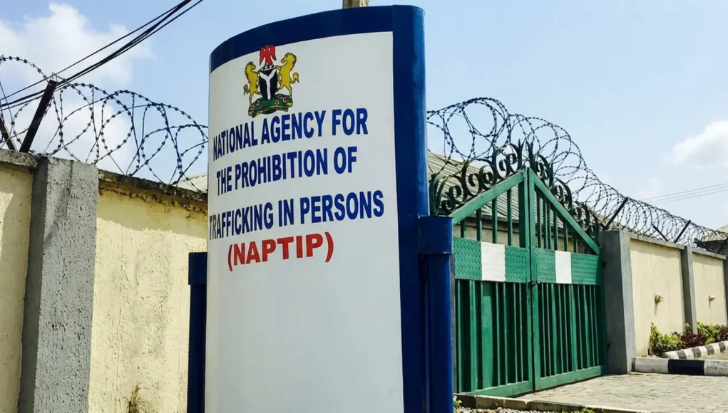 NAPTIP ​‌‍‍‍‍⁠⁠‍​‍​‌‍⁠‍​‌​Receives 105 Nigerians Rescued From Ghana Cybercrime Syndicates