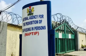 NAPTIP Receives 105 Nigerians Rescued From Ghana Cybercrime Syndicates NAPTIP Receives 105 Nigerians Rescued From Ghana Cybercrime Syndicates