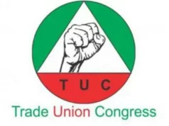 FG Can Increase Workers’ Salaries Without Raising Minimum Wage — TUC FG Can Increase Workers’ Salaries Without Raising Minimum Wage — TUC