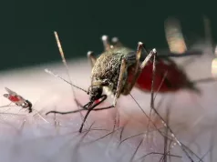 France Reports First Human Shamonda Virus Case, Says No Health Risk France Reports First Human Shamonda Virus Case, Says No Health Risk