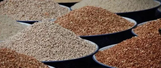 NAFDAC Finds Toxic Pesticides In Beans, Seizes N800m Banned Chemical NAFDAC Finds Toxic Pesticides In Beans, Seizes N800m Banned Chemical